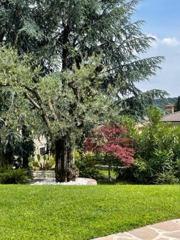 La Casa In Collina Apartman Caprino Veronese Kültér fotó