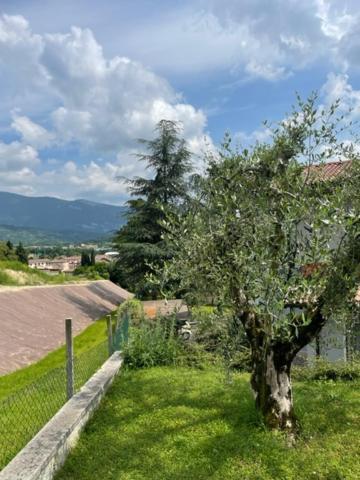 La Casa In Collina Apartman Caprino Veronese Kültér fotó