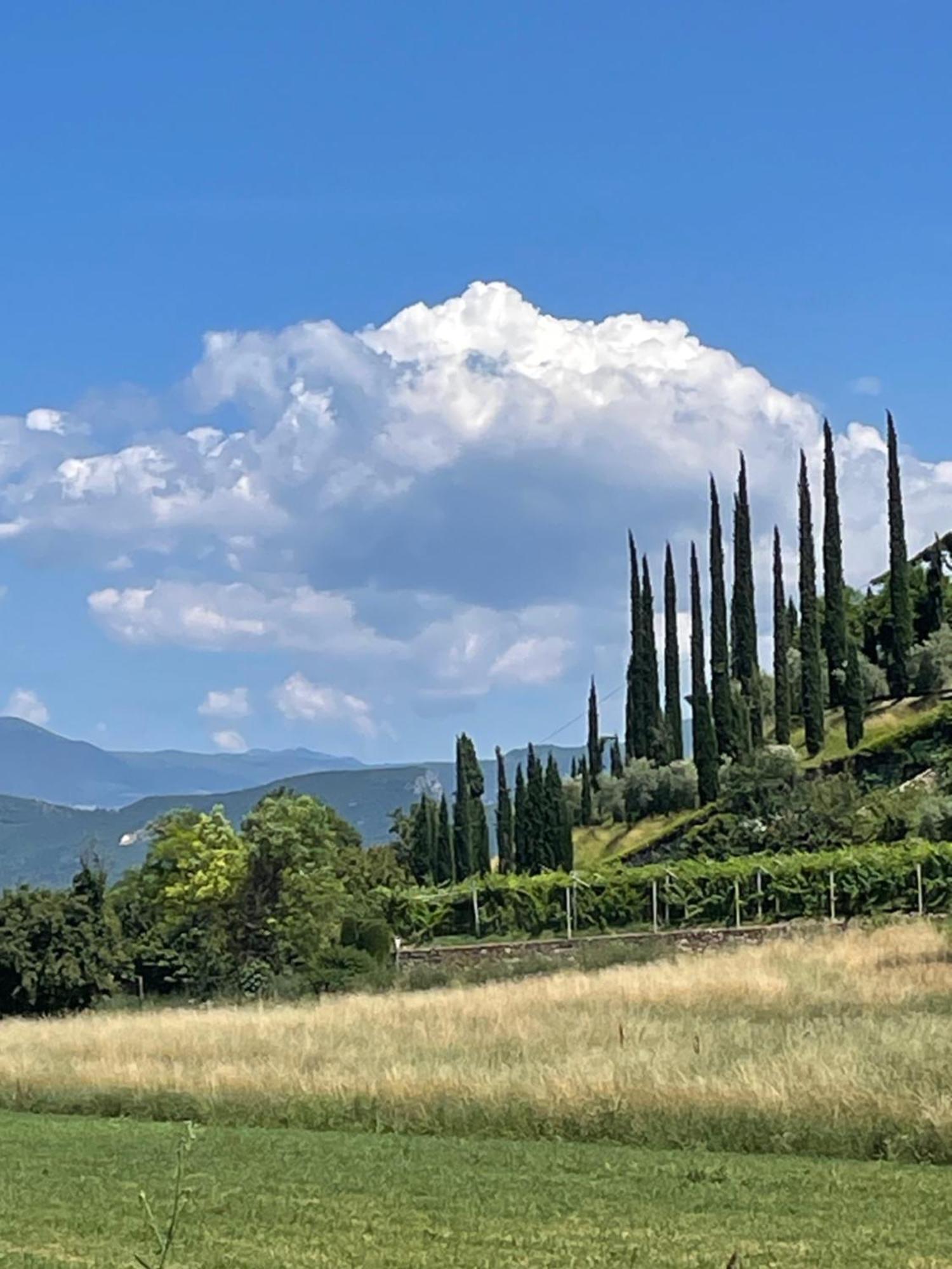 La Casa In Collina Apartman Caprino Veronese Kültér fotó